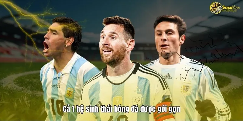 LIVESCORE 43 Tại Socolive cả 1 hệ sinh thái bóng đá được gói gọn