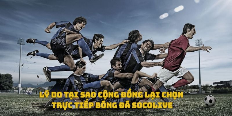 Tại sao nhiều nhiều lại chọn xem trực tiếp bóng đá tại Socolive